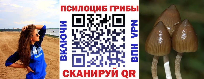 Псилоцибиновые грибы GOLDEN TEACHER  нарко площадка состав  Кудымкар 